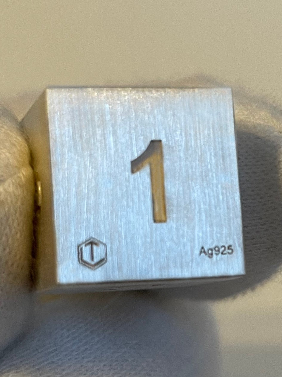D6 Silver Dice in Hand - D6 Silberwürfel in der Hand