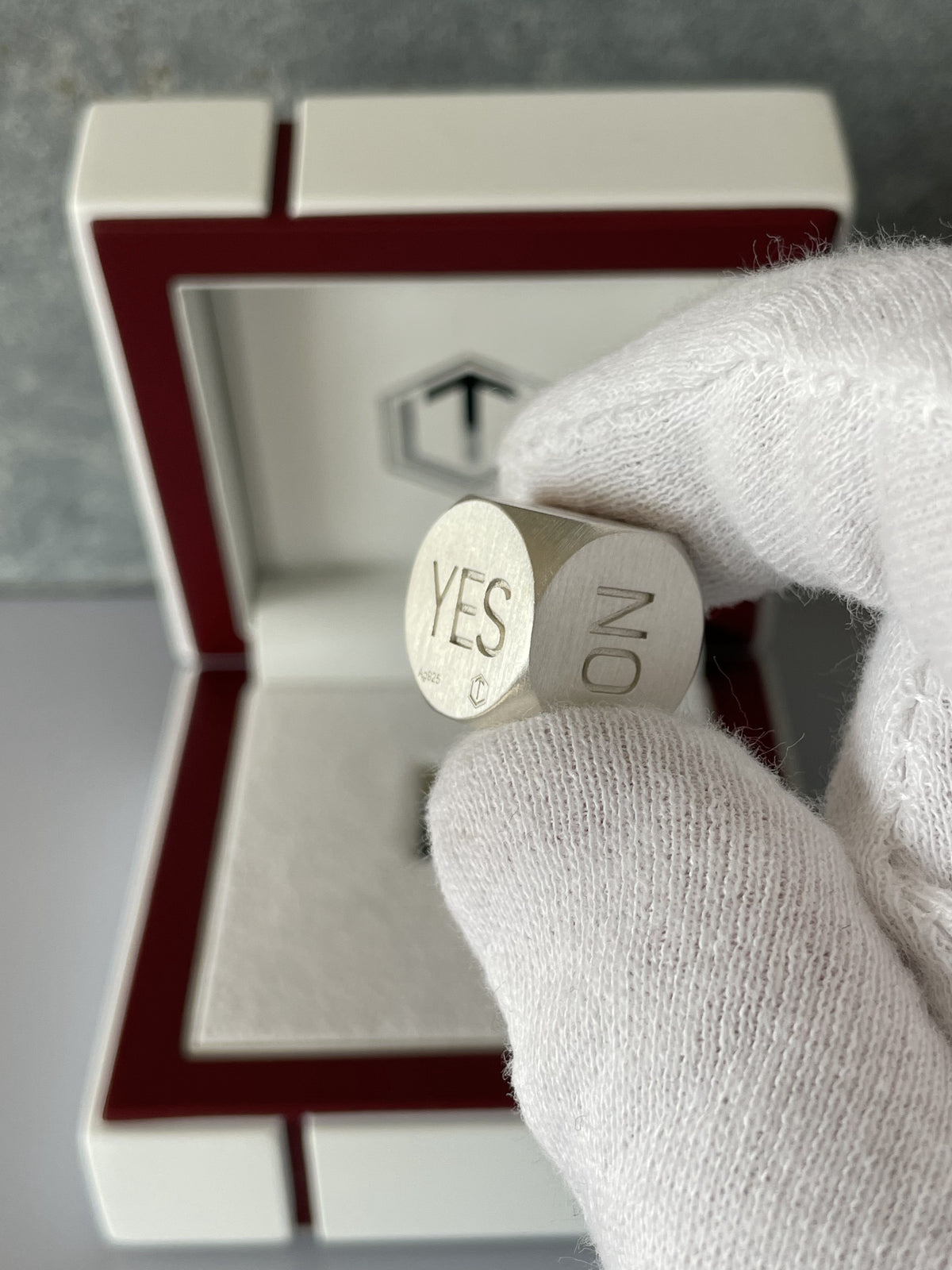 Decision Dice Silver brushed