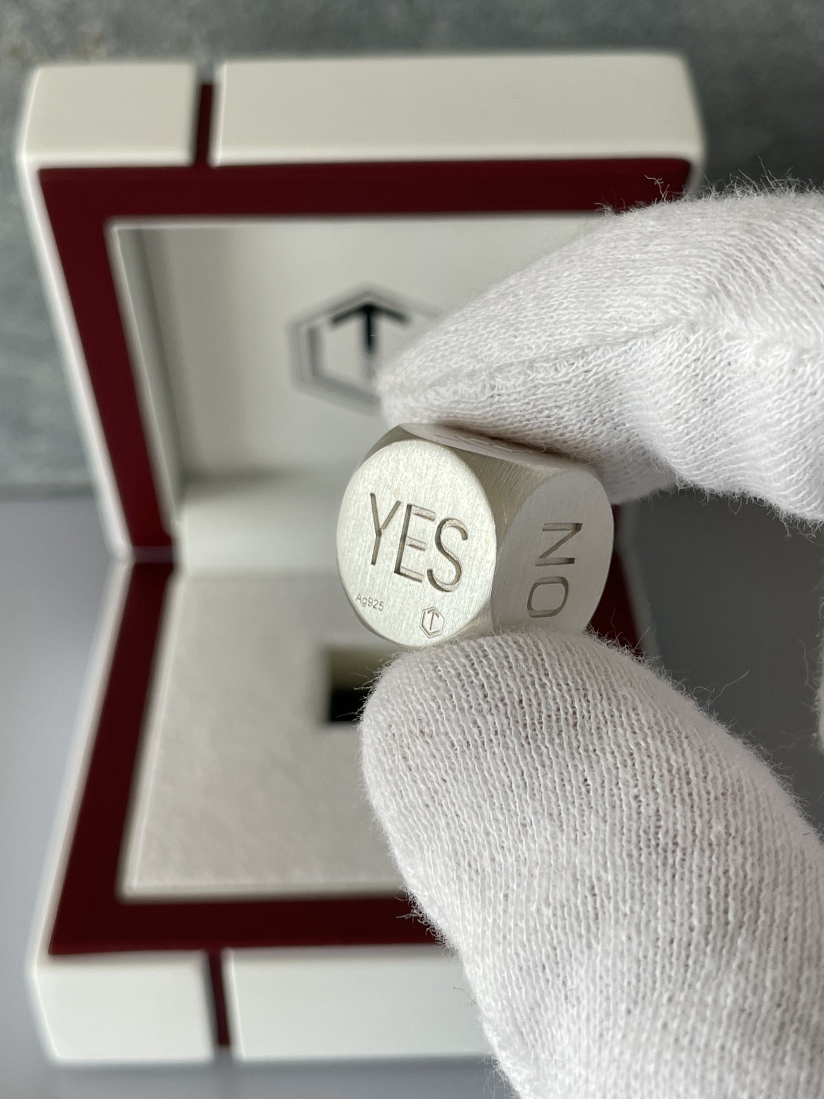 Decision Dice Silver brushed